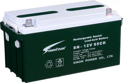 赛能蓄电池SN-12V65CH